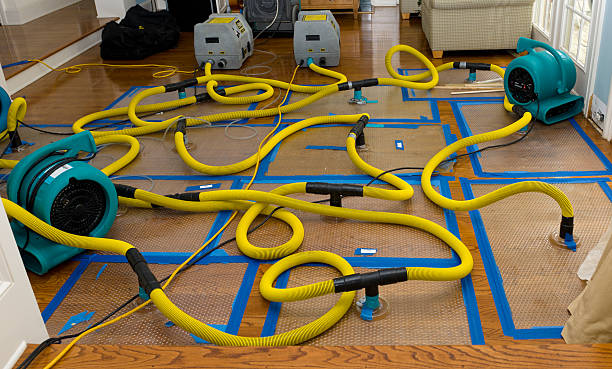 Professional Structural Drying And Dehumidification technician working in Whitestone, NY